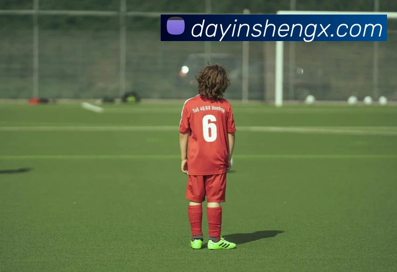 星空网官方登录入口平台生态图