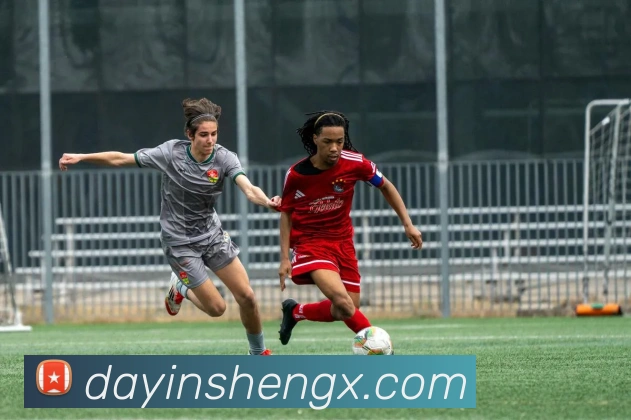 数据防护可视化